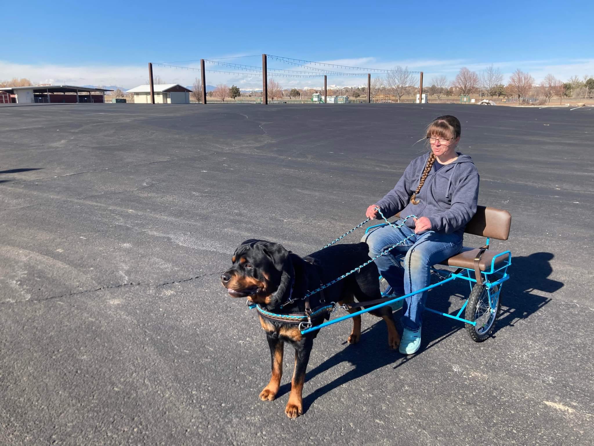 Britney carting with her rottweilers